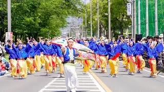 [4K] やいろ　豊川市民まつり おいでん祭 2024　ダンスフェス　パレードステージ