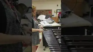 Jaws for mallets
