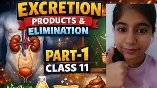 Excretory Products & Elimination One Shot 🔥 | Class 11 Biology | NCERT | Part 1