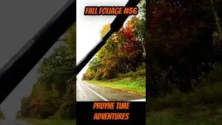FALL FOLIAGE #56: 🍁Driving Through Urbana, NY Backroads in Full Autumn Color 🌅