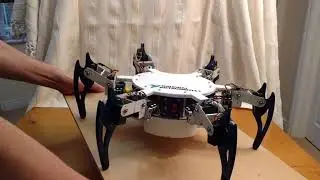 Hexapod Robot