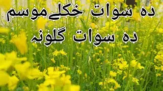 Swat Valley Spring Season Beautiful View.