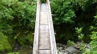 Tararua Forest Park, New Zealand