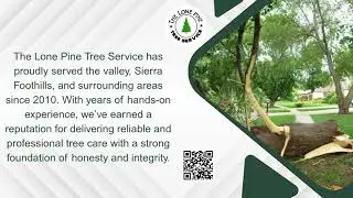 Lone Pine Tree Service | Trusted Tree Experts in Valley Springs, CA