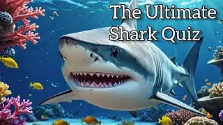 Dive Into the Fin-tastic Shark Quiz: Can You Outswim the Questions? #quiz #trivia #sharks #quiztime