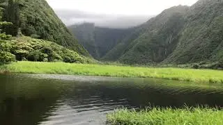 Waimanu Valley, Big Island, Hawaii 2019