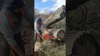 572xp on fire 🔥 #husqvarna #logging #chainsaw #lumberjack #logginglife #loggerslife #asmr #bushcraft