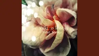She walks in Beauty