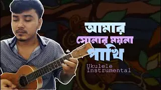 Amar sonar moyna pakhi ukulele instrumental