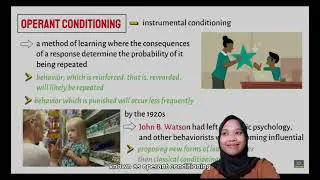 B.F. Skinner Learning Theory