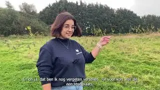 Bedrijfsbossen: Duurzaam Ondernemen & Employer Branding 🌿