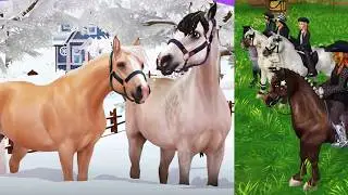 New Horses Next Up In Star Stable