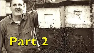 Georgia Beekeeper Victor Halbgewachs Part 2 of 2