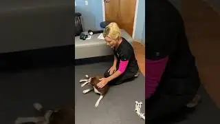 &ldquo;Geoff&rsquo;s&rdquo; first chiropractic visit!