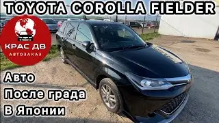 Купили АВТОМОБИЛЬ ПОСЛЕ ГРАДА В ЯПОНИИ🫣TOYOTA COROLLA FIELDER WXB🔥#красдв124 #japan #china #pdr
