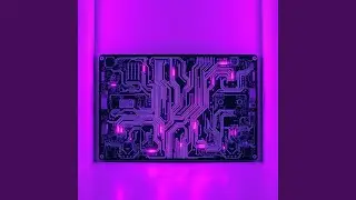 Digital angel 1.0