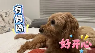 有妈妈陪皮皮聊天 她啥都听得懂