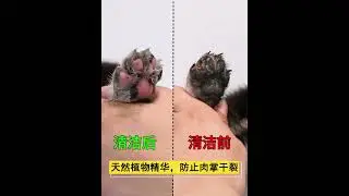 Pet foam cleaner Pet paw cleaner