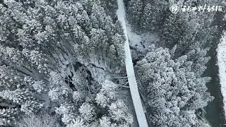 秋田内陸線列車が脱線転覆　運転士１人救助、乗客なし