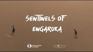 SENTINELS OF ENGARUKA   TRAILER