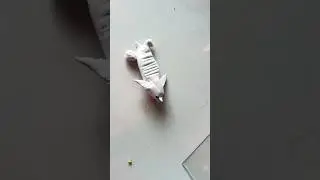 easy clay art#shorts #shortvideo #shortsfeed #trending #viral #clay #clayart ##crafterarchana6490