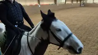 E-Riders Dressage December 2025 Prelim 2B