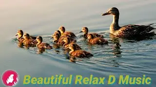 THIS MUSIC CAN LISTEN FOREVER | DIVINE, UNSURPASSED MUSIC THAT CAN TOUCH THE HEART | MIND RELAXING