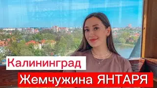 Достопримечательности Калининграда. Музей Янтаря. Что посмотреть в Калининграде?