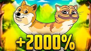 Dog Wif Cat Coin on Solana Set to Skyrocket 100x! Get in on the Next Big Meme Craze Now!
