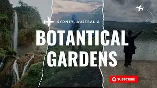 Exploring the Hidden Gems of Sydney: Botanical Gardens Tour 🌿 | Passport Camera Suitcase
