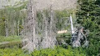 Two Medicine Campground (my site) July 26th, 2019