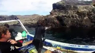 Scuba Dive Chile 2016