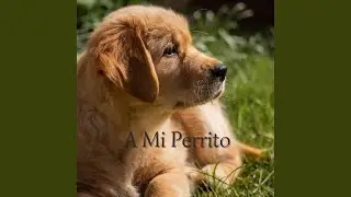 A Mi Perrito