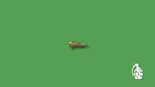 Petit Biscuit x JUL x Gambi - Type Beat - Sad Club House Rap Smooth 