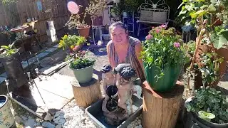 Jardinera Crea Un Jardín Relajante Con Reciclaje 🧑‍🌾