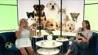 Adopt Melvin from the Capital Area Humane Society