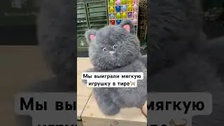 Марсель выиграл мягкую игрушку #blog #family #marsel #кот