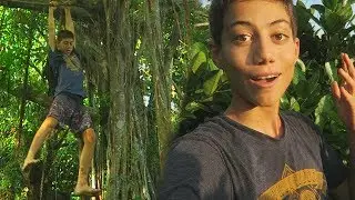 Super Tree Climb Avatar Style
