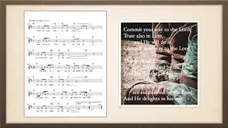 Ps 37:3-5&23 Trust In The Lord & Do Good - David Medaris
