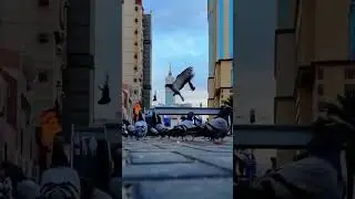 islam zindabaad