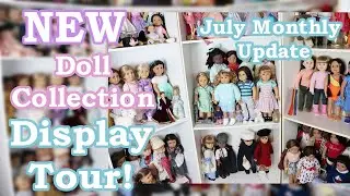 My NEW Doll Collection Display Tour - July Monthly Update - American Girl, Maplelea, Rainbow High