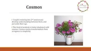 The Meaning of Anniversary Flowers   Blooms Only
