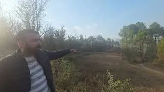 12 bigha land for sale in himachal pradesh 