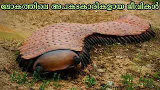 ലോകത്തിലെ അപകടകാരികളായ പത്ത് ജീവികൾ