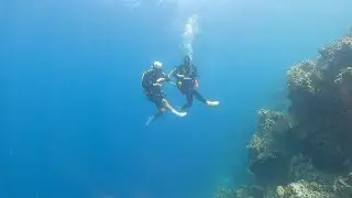 22.09 TEAM HONGSTAR MOALBOAL Club Hari DIVE Resort