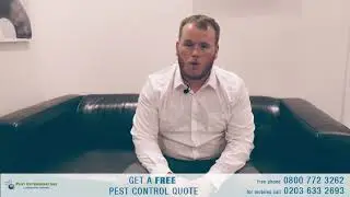 Pest Exterminators   London pest control