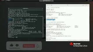 How to Create Local Repository in RHEL 8 using DVD ISO (Full Guide)