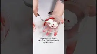 The Cookie Countess Gel Food Color