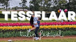 Note #22 : TESSELAAR Tulip Festival