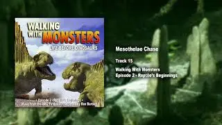 15. Mesothelae Chase